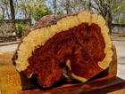Amboyna Burl Lumber Live Edge Epoxy Resin Table Top Diy Natural Slab Exotic Wood