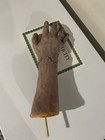 Mary Shelley s Frankenstein -creature Hand Screen Used Horror Movie Prop Coa