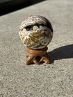 Ultra Rare 8th Vein Ocean Jasper Sphere Crystal With Wooden Stand 50mm