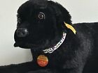 Steiff Vintage Black Lab Labrador Lumpi Ear Tag Navy Flag Collar Rare Nwt 20   
