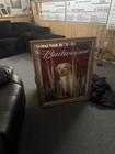 Budweiser Yellow Lab Hunting Dog Mirror Sign 33x28