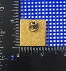 Hershey   s Really Big 3-d Show Movie Chocolate World Pennsylvania Souvenir Pin