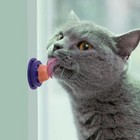 Healthy Cat Snacks Catnip Sugar Candy Licking Solid Nutrition Gel Energy Ball