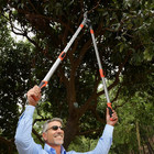 41  Extendable Anvil Lopper Tree Trimmer With Compound Action Chops Thick Branch