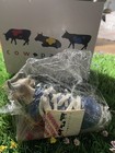 Cow Parade Mooshoe  2000 Complete W  Box   Tag Item  9125