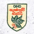Vintage Ohio Patch     Buckeye State Travel Souvenir     Sew-on Nos