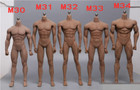 Tbleague Phicen M33 1 6 Flexible Male Seamless Body Steel Skeleton Fit 12  Head