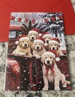 Christmas Golden Retriever Puppies Santa Hat 4 6x6 6    Blank Inside Greeting Card