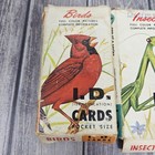 Vtg 1962 Insects  Birds Reptile Flash Cards Educational Nature Mcgraw Hill