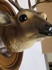 Vintage Ceramic Whitetail Deer Wall Mount