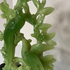 Vintage  birds Of Paradise  Wony Italy Faux Green Jade Figurine  11    Tall