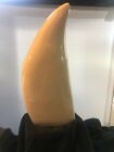  Blank Sperm Whale Replica Tooth Ready To Scrimshaw  4