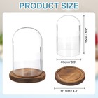 Glass Cloche Display Dome 5 9  X 3 5  Glass Dome Display Case Wood
