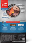 Orijen Original Grain-free Dry Dog Food  23 5-lb Bag Free Shipping Usa