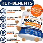  2 Pack  Probiotics For Dogs 340 Dog Probiotics Chews Digestive Enzymes