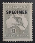 Australia  Gv   Very Rare  1924   1 Kangaroo 3rd Wmk  specimen  Type D  Mint 