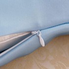 100  Pure Silk Pillowcase 19 Momme Pillow Cover Twin queen king  Standard