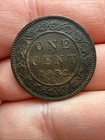 1882 Canada Large Cent Queen Victoria One Penny Coin - Nice Vf ef  Detail L1