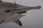 Hanging Hammerhead Shark Life Size Statue Ocean Sea Animal Theme Prop Display
