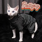Hairless Cat Clothes Tricolor Four-legged Clothes Sphinx Warm High Stretch Home 