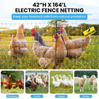 Electric Poultry Netting  42  H X 164 l Electric Anti-predator Poultry Fence  Pe