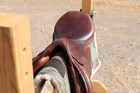 Stubben Edelweiss Hunt Saddle 17 