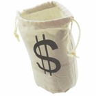 Large Dollar Sign Party Favor Money Goody Bag