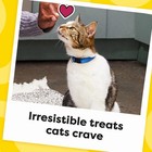 Cat Treats Classic Crunchy And Soft Cat Treats  Savory Salmon Flavor  30 Oz  Tub