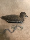 Vintage Cabela   s Usa Brown Duck Decoy   Flambeau Italy Pintail Duck Decoys 