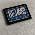 Blizzard Esports Badge 2017 Blizzcon Patch Con Exclusive Overwatch Warcraft Rare