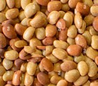 Horse Gram Kollu Vulavalu Horsegram - 1kg 2kg 5kg 10kg 15kg 20kg 30kg 40kg Bulk
