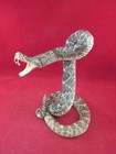 Western Diamond Back Rattlesnake In Striking Pose  Authentic