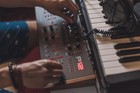 Dave Smith Instruments Prophet 12 Synth Module