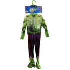 Jazwares Child s Marvel Incredible Hulk Costume With Jumpsuit Gloves   Mask