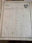 International Junior Postage Stamp Album Multiple Countries