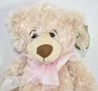 First   Main Brown Shaggy Regis Teddy Bear W  Pink Bow Stuffed Plush Toy New Nwt
