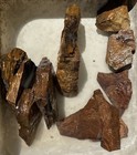 Biggs Picture Jasper  5 Pound Rough -old Stock Biggs Oregon Jasper