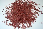 Grain Sorghum  Milo  Bird Seed  By  Thunder Acres