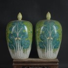 A Pair Chinese Pastel Porcelain Handpainted Exquisite Chinese Cabbage Pot
