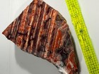 Mariposa Poppy Jasper  Fine Cutting Piece 