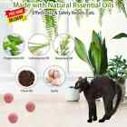 12 Pack Cat Repellent Outdoor Indoor  Cat   Dog Nature Repellents Peppermint Oil