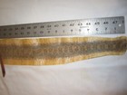 Real Mojave Rattlesnake  Skin