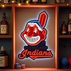 16  Cleveland Indians Chief Wahoo Led Neon Sign With Dimmer Usb Powered Light