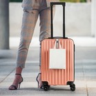 Rose Gold Luggage Set 2pc 20  14  Spinner Suitcases Lightweight W hook