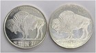2 Coin Lot 1 Troy Oz 999 Fine Silver Round Silvertowne Buffalo Nickel Tribute