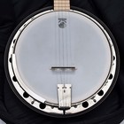 Deering 5 String Resonator Bluegrass Banjo - Road Runner Bag - Extras - Minty 