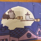 Pusheen Box Fall halloween 2024 Witch Tapestry  limited   culturefly 