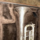 Bach Stradivarius Trumpet Model 43