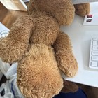Dan Dee Collectors Choice Brown Floppy Puppy Dog 24    Plush
