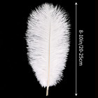 White Ostrich Feathers 24pcs Natural Bulk 8-10inch 20cm-25cm For Crafts
